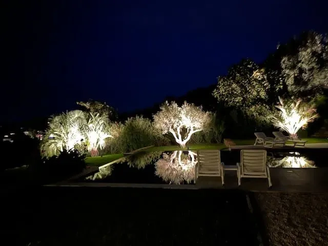 IMG_20241231_103345